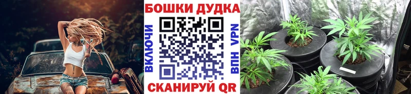 Купить закладку Кокаин  Альфа ПВП  Гашиш  Псилоцибиновые грибы  БУТИРАТ  Мефедрон  Евпатория