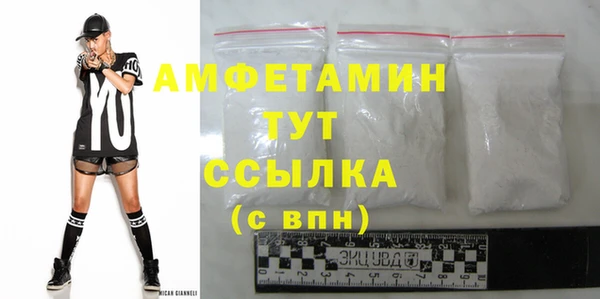 молекула духа Бронницы