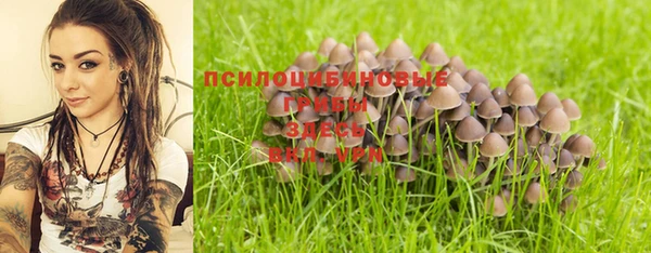 мескалин Бородино