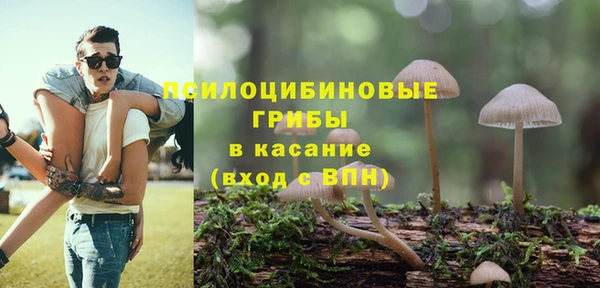 молекула духа Бронницы