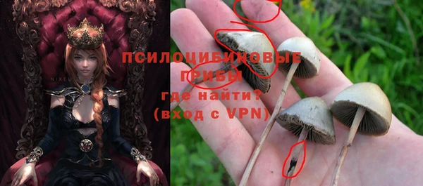 молекула духа Бронницы