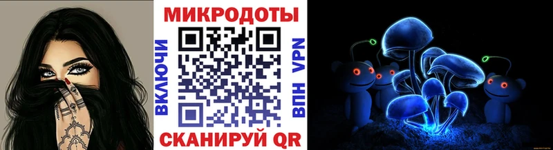 Купить где  Евпатория  Псилоцибиновые грибы Psilocybe 